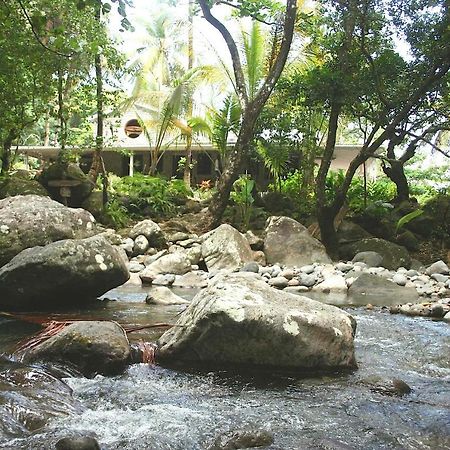 Villa Citrus Creek Plantation La Plaine Exterior foto