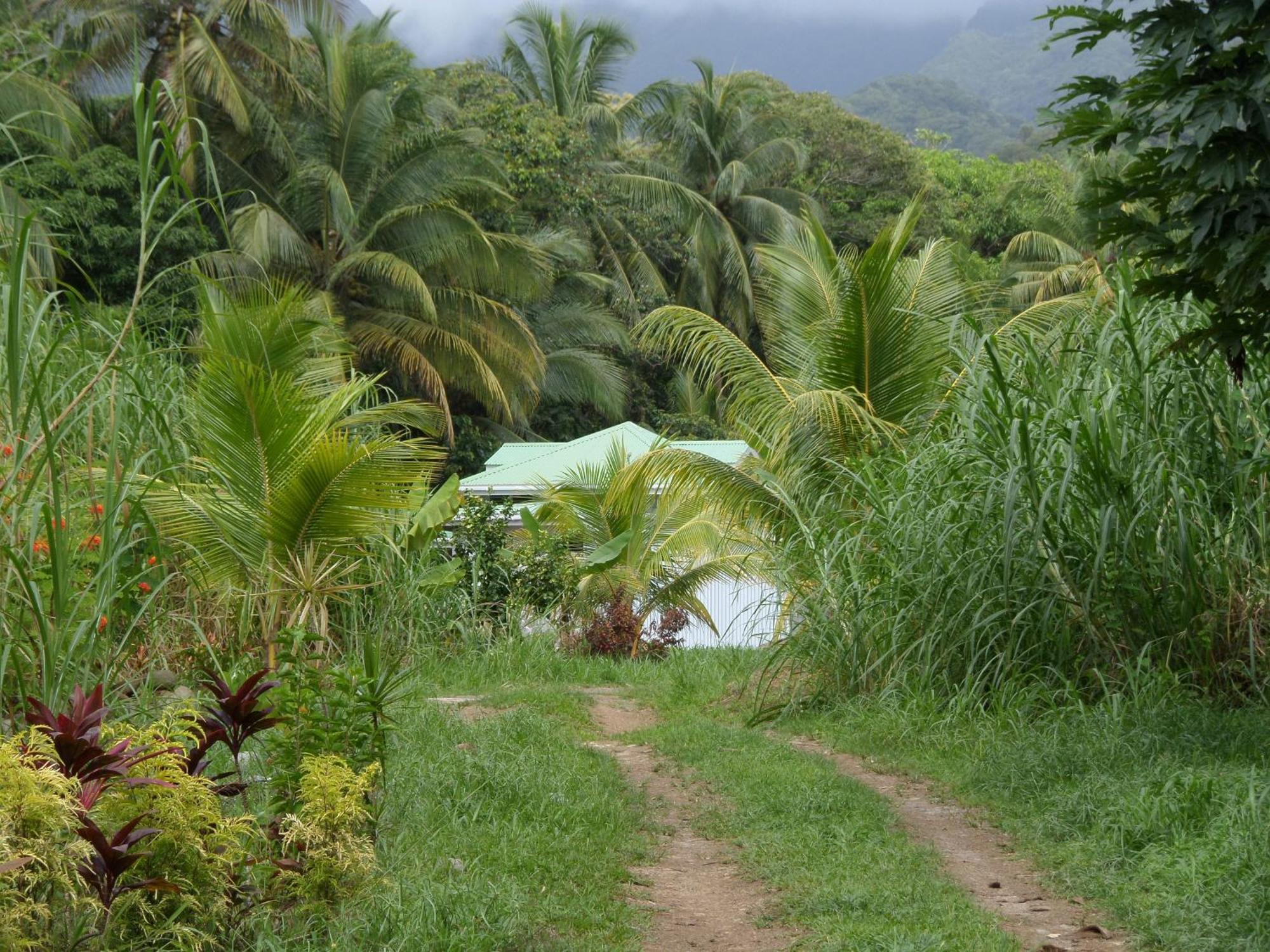 Villa Citrus Creek Plantation La Plaine Zimmer foto